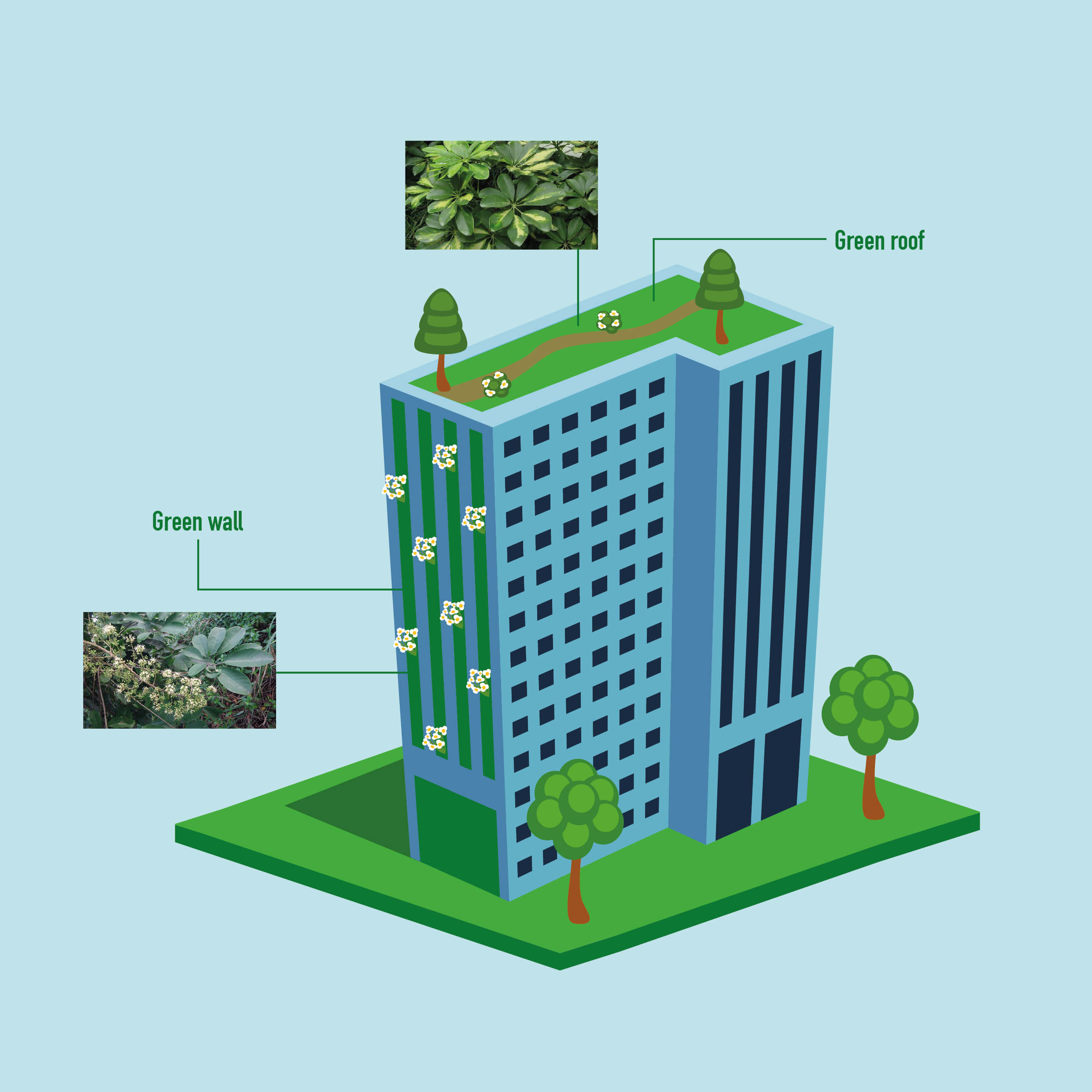 Plants' species need to be chosen carefully in accordance with the microenvironment, said Crystal Li. Boaters ferns and Schefflera heptaphylla are commonly selected for outdoor skyrise garden due to their resistance to difficult conditions, namely poor air quality and insufficient sunlight, she added.